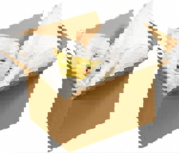 Packing Paper: Sheets